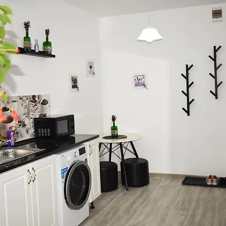 Lavander Apartment-old City Centre Brasov